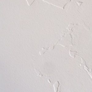 Meet your Posher, Sophia